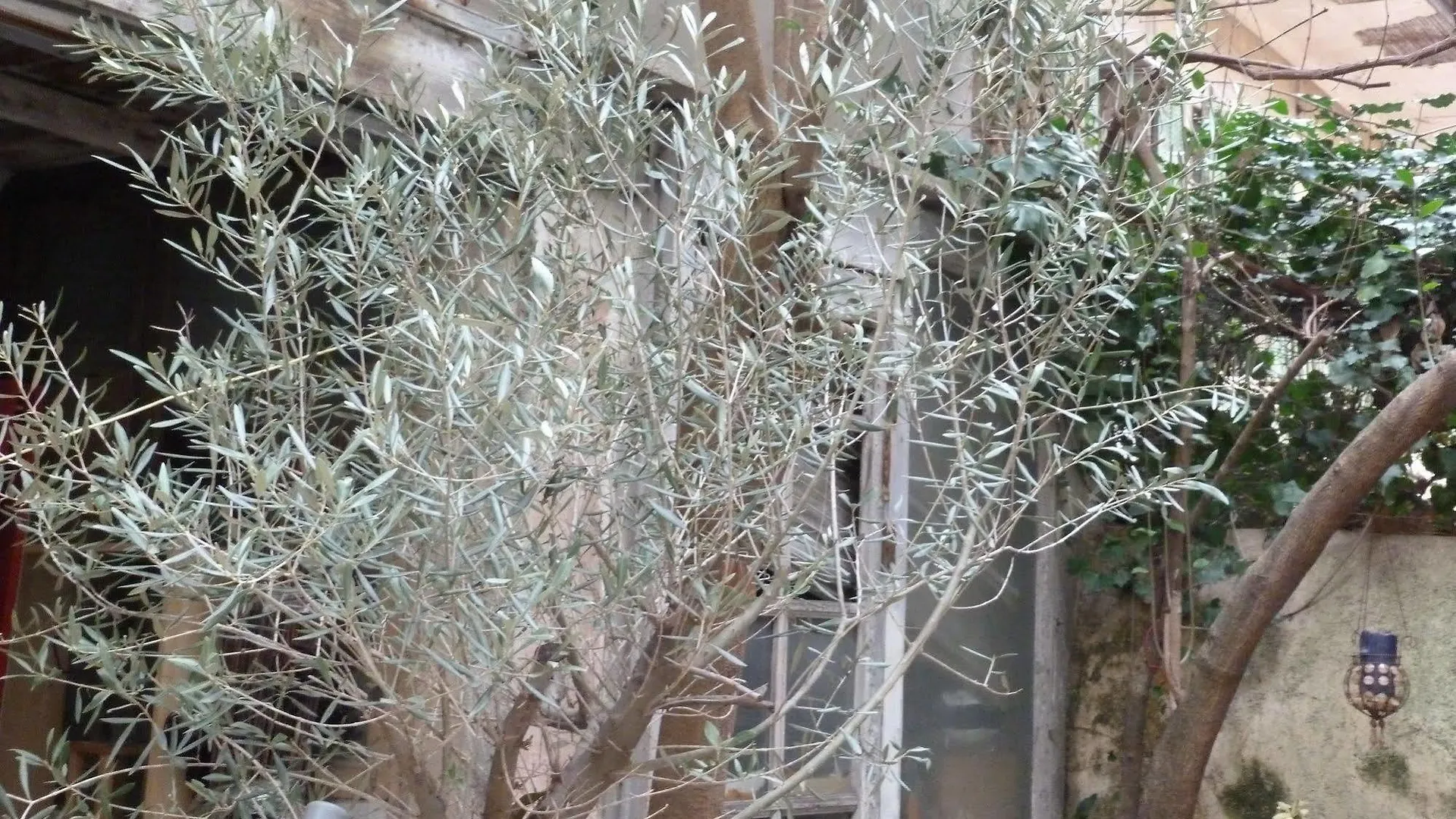 Precheurs Studios Aix-en-Provence Aparthotel